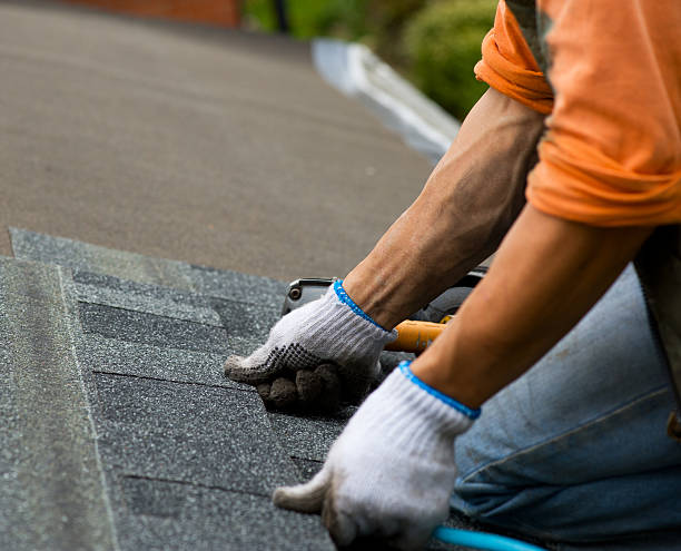 Best Gutter Installation and Roofing  in Vega, TX